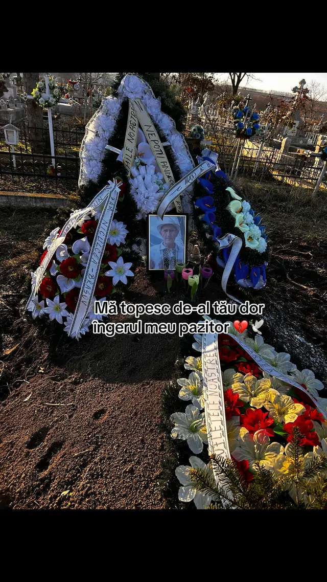 A post by @andreeajurablea on TikTok caption: Bunicul meu scump și drag mi-e atât de dor de tine , când intrăm pe poartă îți zâmbea sufletul și nu ma mai lăsai să plec 💔😭🕊️#viral_video #bunicu 