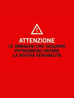 A post by @mandrake1984real on TikTok caption: Non so se ne usciremo mai.. Ma se serve a far riflettere anche solo una persona.. Sono felice. 