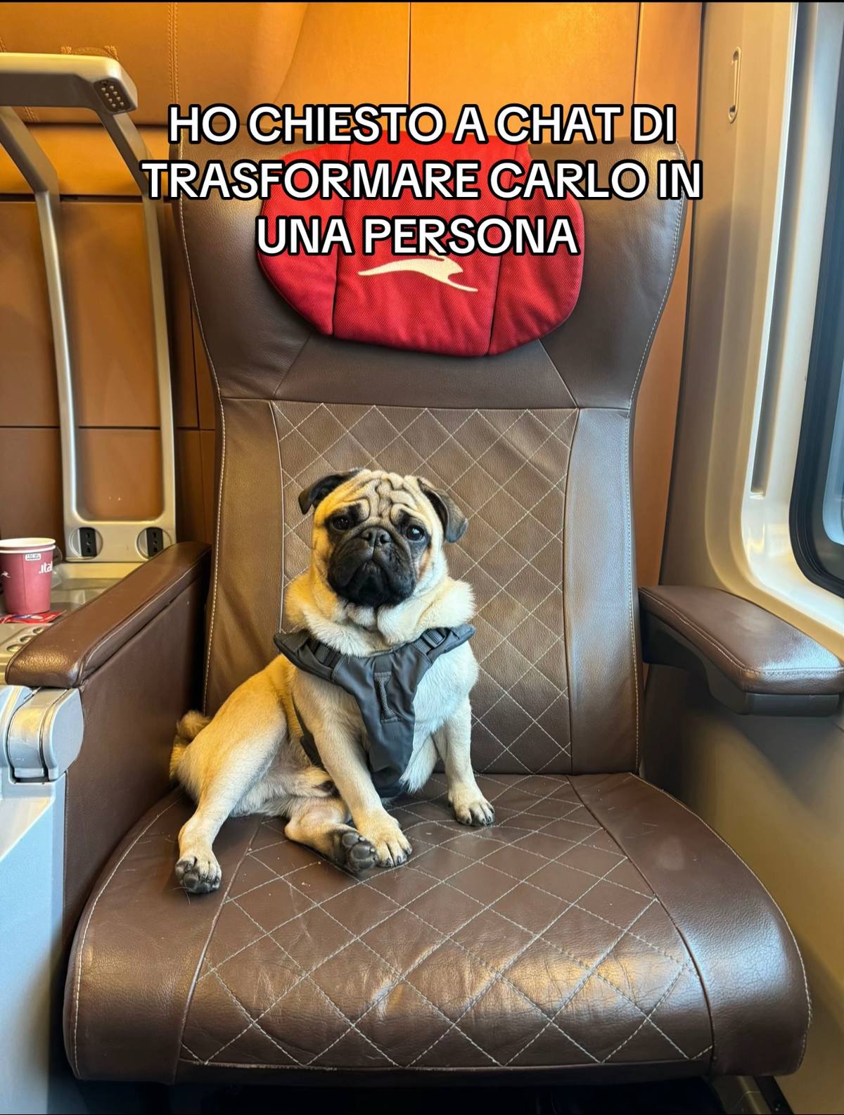 A post by @bigmamaalmic on TikTok caption: VOGLIO UNA VILLA UNA VILLA UNA VILLA UNA VILLA