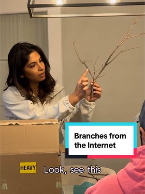 A post by @sheenamelwani on TikTok caption: The fact that he believed me is slightly concerning 😂 #prank #funny 