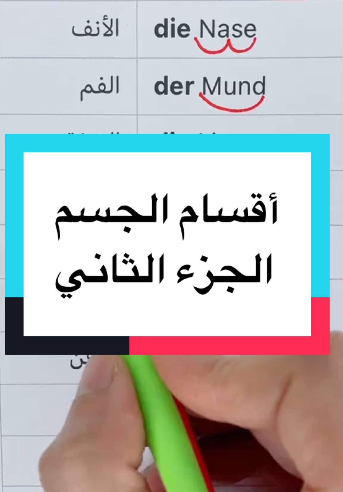 A post by @arabisch.deutsch1 on TikTok caption: تعلم أسماء الأعضاء عند الإنسان الجزء الثاني#مصطلحات_المانية #الماني #تعليم_اللغات 