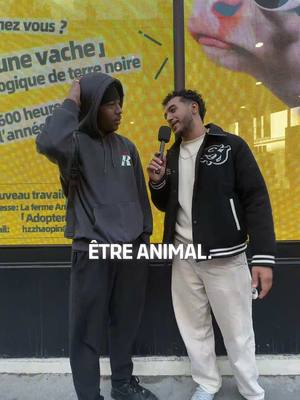 A post by @mohasmilefr on TikTok caption: Je crois que j’ai trouvé le job de rêve ! Mais pas pour nous.. 🐄  #micro-trottoir #humour #mohasmile #collaborationcommerciale 