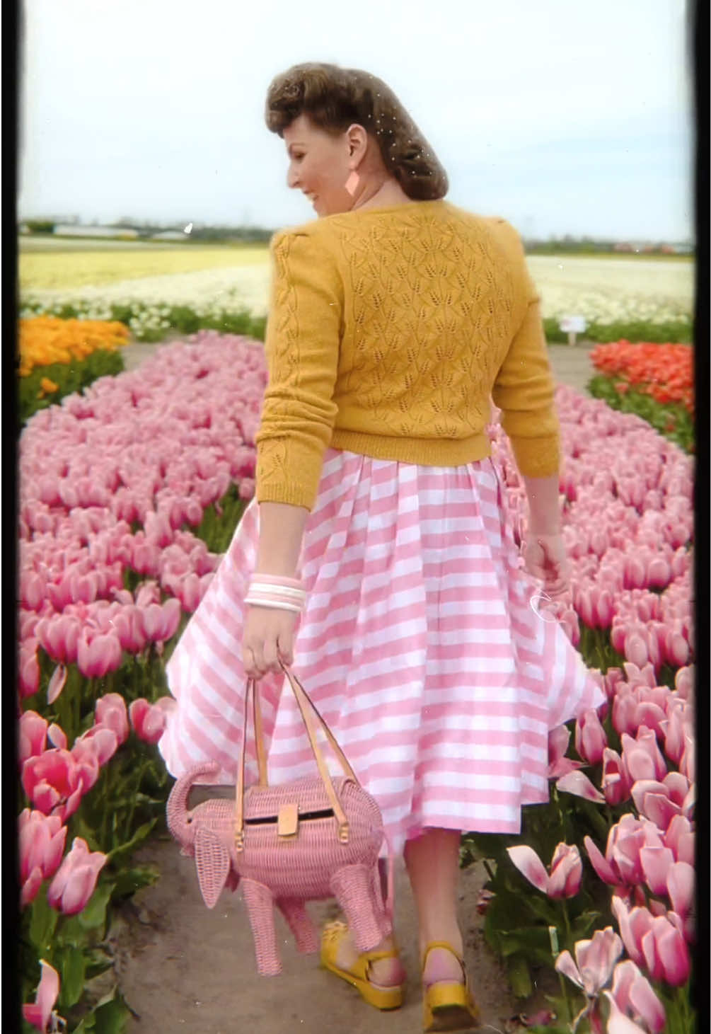 A post by @hollandschmeisje on TikTok caption: 🌷 Holland at its prettiest 🌷 Had a fun afternoon and shoot with fabulous @Alexa at @The Tulip Barn 🌷  Styled my hair with @Reuzel Pomade grooming tonic & @Jenny Dame Sparkle Hairnets  Wearing @Vixen by Micheline Pitt dress @Memeryshoes sandals @wickerdarling Pink elephant @Splendette bangles @Glitz-o-Matic earrings  #vintagehair #vintagestyle #tulipfields #photoshoot 