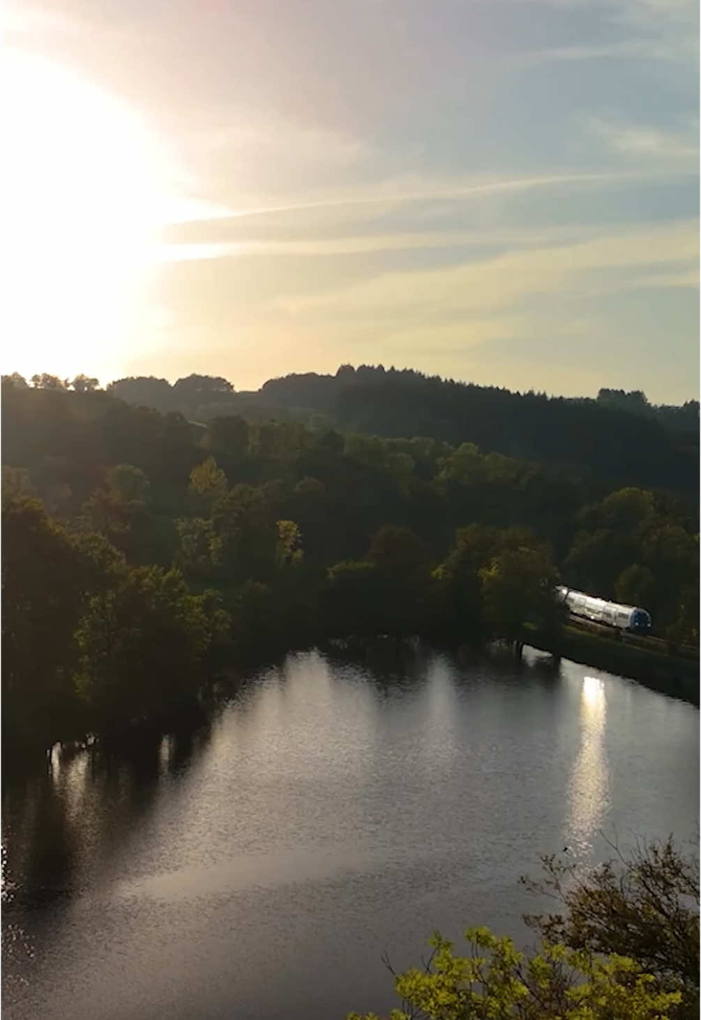 A post by @julien_josselin_scale on TikTok caption: [VLOG#10] EXTRACT 7 - Du BORD ou en BATEAU ? La MEILLEURE TECHNIQUE pour PÊCHER les CARPES de cet ÉTANG ! ▪️ #bigfish #bigfishing #carprun2024 #carprun #carpe #carp #carpfishing #frenzyfishing #angler #pecheur #fish #bigfish #bigone #poisson #lakefishing #lake #savage #wildfishing #autumnfishing  #memory 