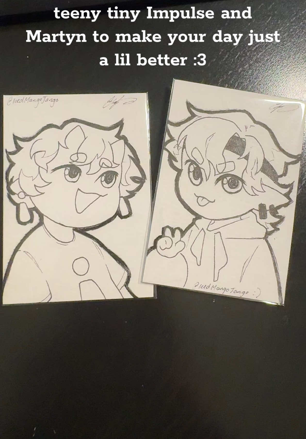 A post by @caseymain.ca on TikTok caption: Reminder that I’ll be at Calgary Expo this year, and it’ll be my *final* year!  lil chibi comms will be $5 and available all four days! Impulse and Martyn will be available to take home on the last day <3 #impulsesv #martyninthelittlewood #itlw #trafficsmp #impulsefanart #inthelittlewoodfanart 