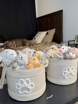 A post by @reignstormpit on TikTok caption: Lets Make Easter Baskets For My Dogs ! Do You Make Easter Baskets For Your Dogs or Do Easter Egg Hunts For Them ?  🐣🪺🐾 #dogmom #easter #easterbasket #easterbasketideas #easterbasketstuffers #easter #easterbasketsfordogs #fypシ #fyp 
