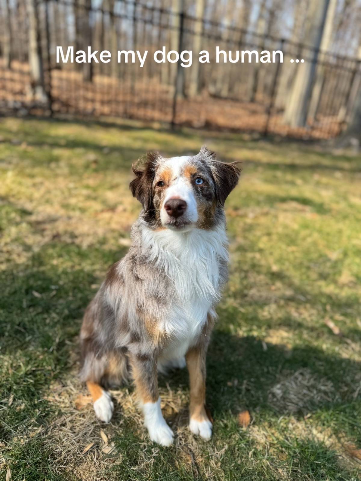 A post by @carlibybel on TikTok caption: 😭😭😭😭🤭