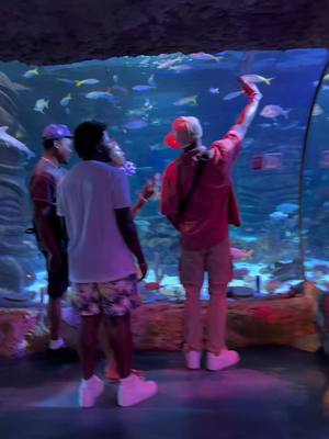 A post by @yo_thats_erica on TikTok caption: Trip to the Aquarium with family of 14🐠🐡🐙🐬 #thatmanandthemkids #familyvacation #ThingsToDoWithKids