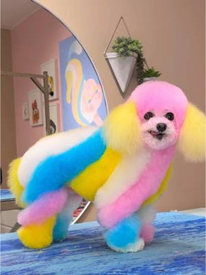 A post by @dogsbylogan on TikTok caption: an Easter marshmallow #dogs #doggrooming #dogsbylogan #cutedogs @Gabe 