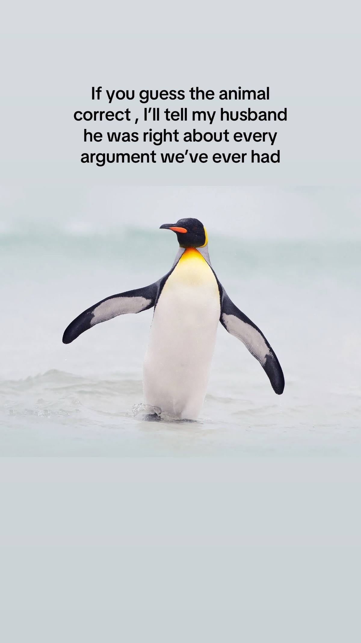 A post by @malenicruz.hf on TikTok