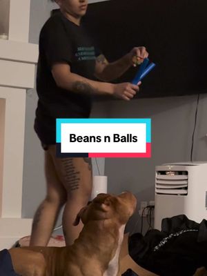 A post by @nashandkash on TikTok caption: caught a vibe aka balled out at the dollar store and melted his brain #nashandkash 