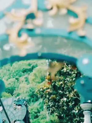 A post by @deus_maroto on TikTok