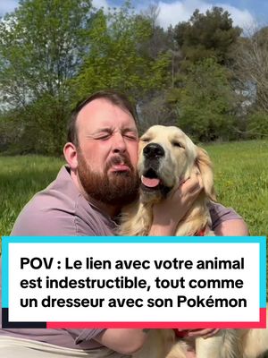 A post by @moguizoff on TikTok caption: POV : ton lien avec ton animal est incassable Comme un Dresseur avec son Pokémon, Gohan et moi on se comprend sans parler. Dans cette vidéo, on découvre la nouvelle extension  Écarlate & Violet – Aventures Ensemble du Jeu de Cartes à Collectionner Pokémon ! Les cartes mettent en avant des duos iconiques entre Dresseur et Pokémon, et je peux vous dire que Gohan et moi, on se sent concernés.  Et vous, avec quel Pokémon vous partiriez à l’aventure ?  #Publicité #JCCPokemon @Pokémon France 