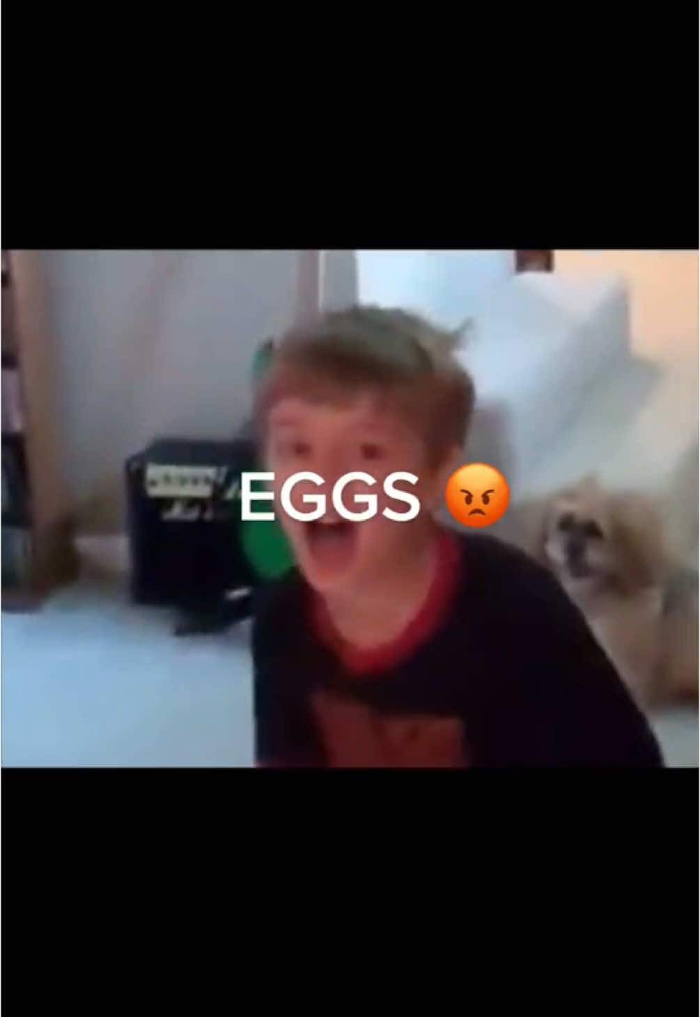 A post by @zozocormierr on TikTok caption: Hoppy Easter