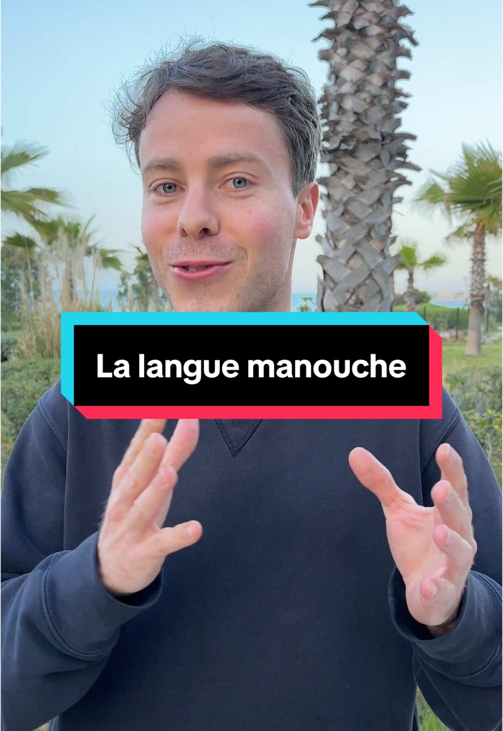 A post by @louisdegouyonmatignon on TikTok caption: Vidéo importante pour moi les amis #louisdegouyonmatignon #manouche #gensduvoyage #gitan #traduction #romani 