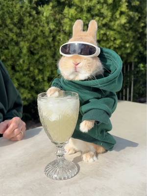 A post by @rosssmith on TikTok caption: Easter Bunny & Granny Vibing🐰 #happyeaster 