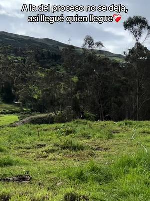 A post by @pupilo593 on TikTok caption: Etiqueta a la del proceso❤️‍🩹@La Jhois🐽 
