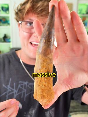 A post by @kylekruegerr on TikTok caption: You’ve never seen rare stuff like THIS before…   wait for the last one   #tech #gadget #weirdfinds #museumvibes #space 