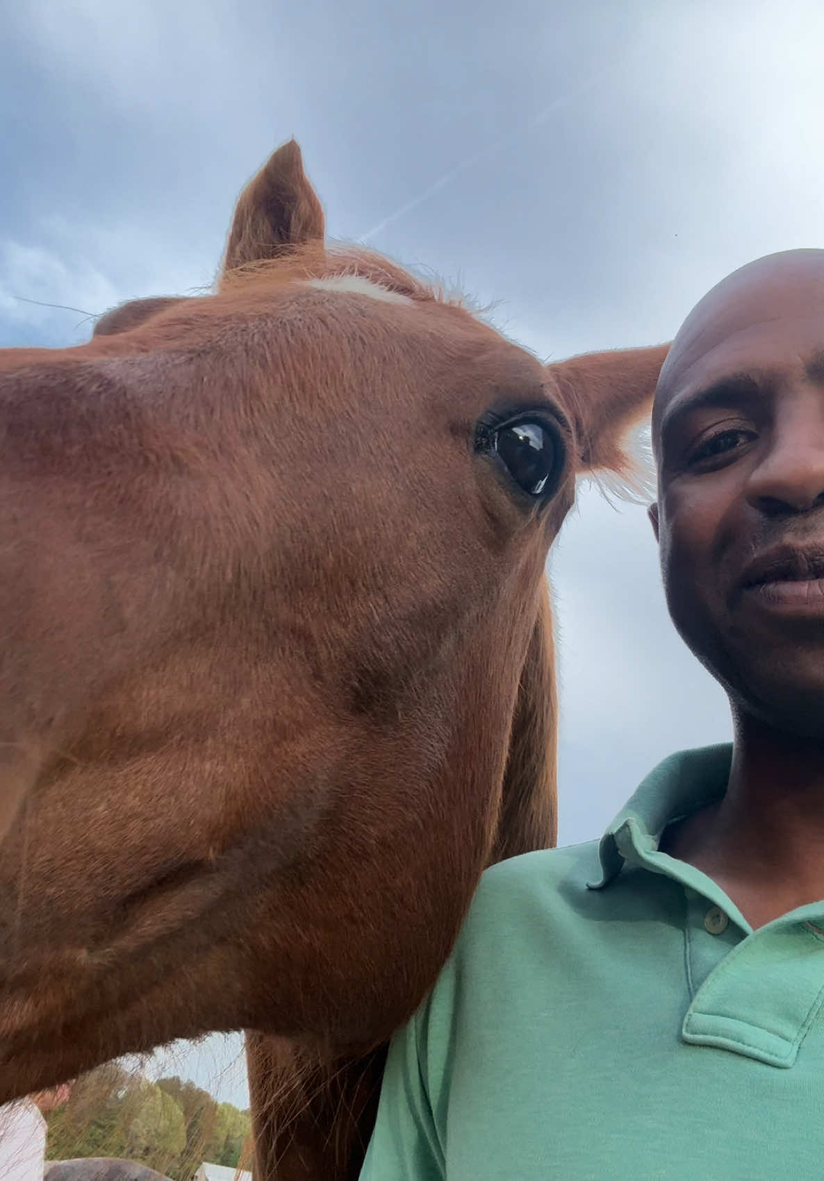 A post by @lifewithcarlos22 on TikTok caption: I’m trying to build my confidence up to ride this horse