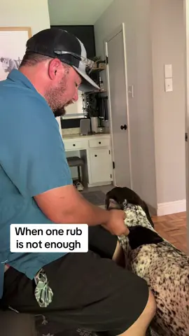 A post by @wyattthegsp on TikTok caption: Wyatt Wayne gives no fluffs #wyattthegsp #foryoupage #fyp 