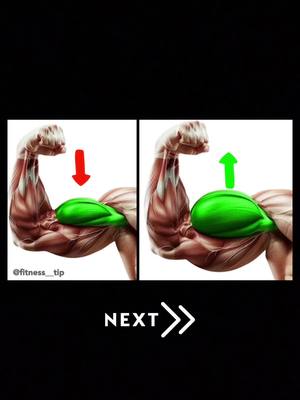 A post by @fitness__tip on TikTok caption: Want bigger biceps ?