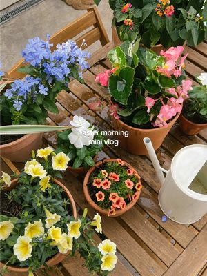 A post by @emilyfranciswheaton on TikTok caption: best day hosting our family 🥹🤍  #minivlog #eastermorning #springmorning #springhosting #hosting #hostingtips #pinterestaesthetic 