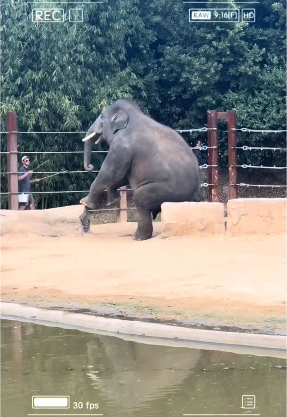 A post by @sarajane976 on TikTok caption: Sydney Zoo ! Best day with my family !!  @Zoo 