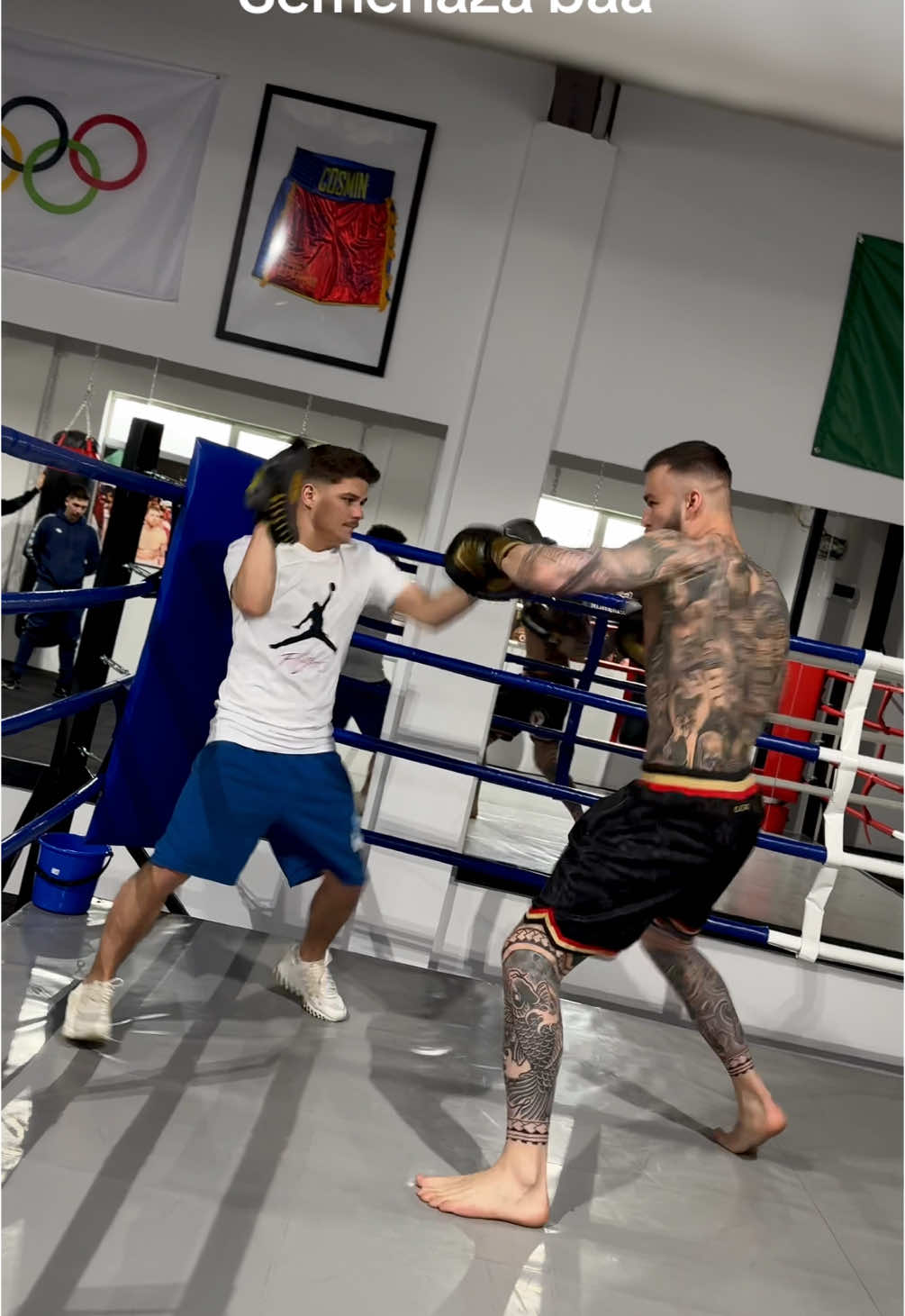 A post by @yamatozaharia on TikTok caption: Semneaza baii 😂 sunt teroarea ta😂 @Girleanu Cosmin  #meko #yamato #rxf #mma 