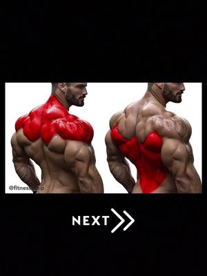 A post by @fitness__tip on TikTok caption: Back day 