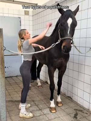 A post by @annchenaugustine on TikTok caption: Hurry up Finn! 😂🫶🏻 seid ihr eher Team schnell oder Team langsam? 🐴 #fy #foryou #equestrian 