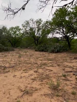 A post by @xwallstreetdonx on TikTok caption: Sorry for my absence , This what we’ve been working on 🤠 Goin from a Fawm to a Ranch  #foryoupage #fyp #fypシ #land #country #farmlife #ranch 