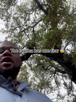 A post by @xwallstreetdonx on TikTok caption: I don’t deal with wasp for this reason 😭 I can’t be the only one 😭 #foryoupage #fyp #funny #wasp #bee #country 