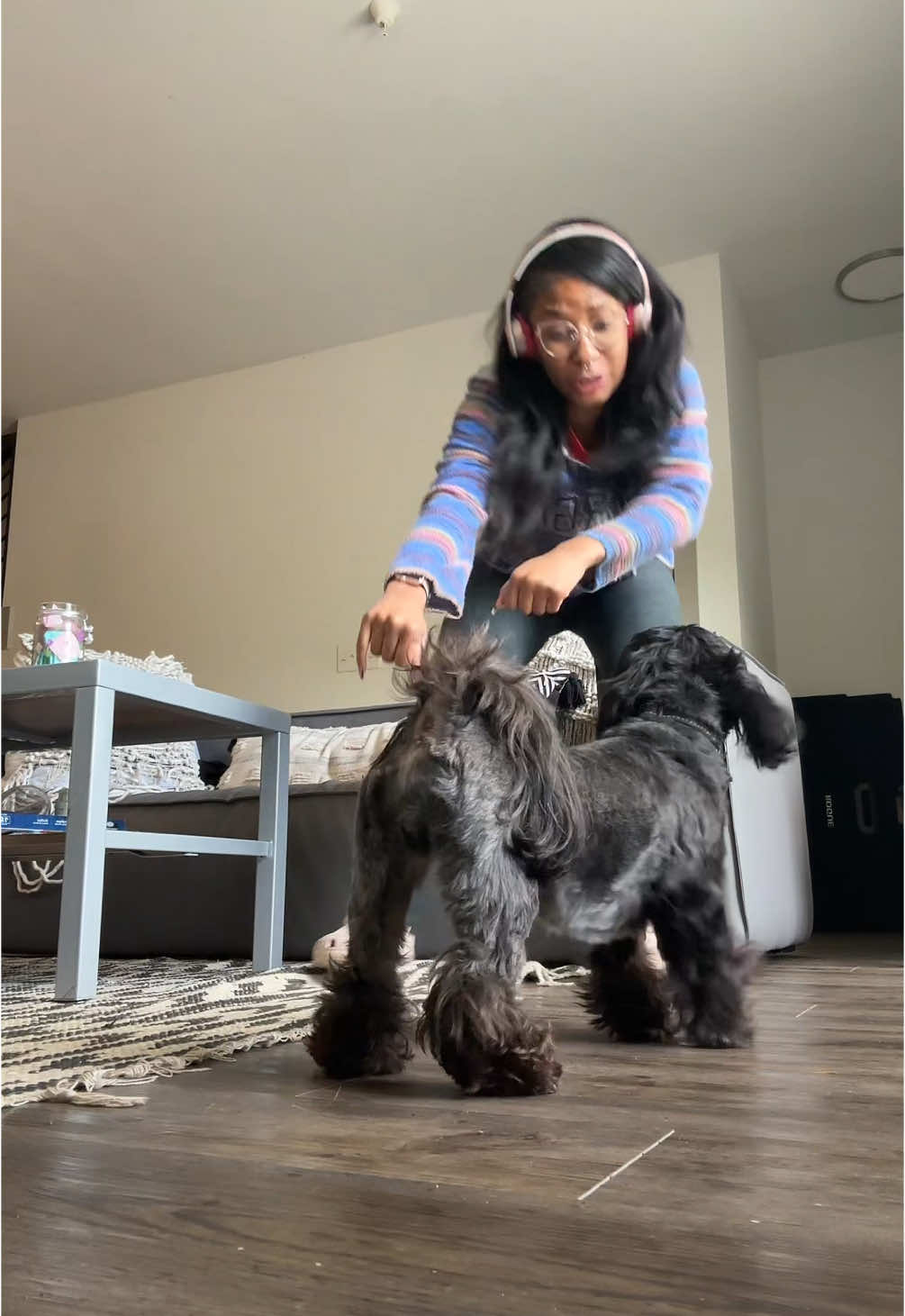 A post by @daniidior on TikTok caption: Tryna distract him til you get back🤣 he lit @user4235331637646 