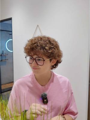 A post by @mariappymeal1 on TikTok caption: #humour #acting 