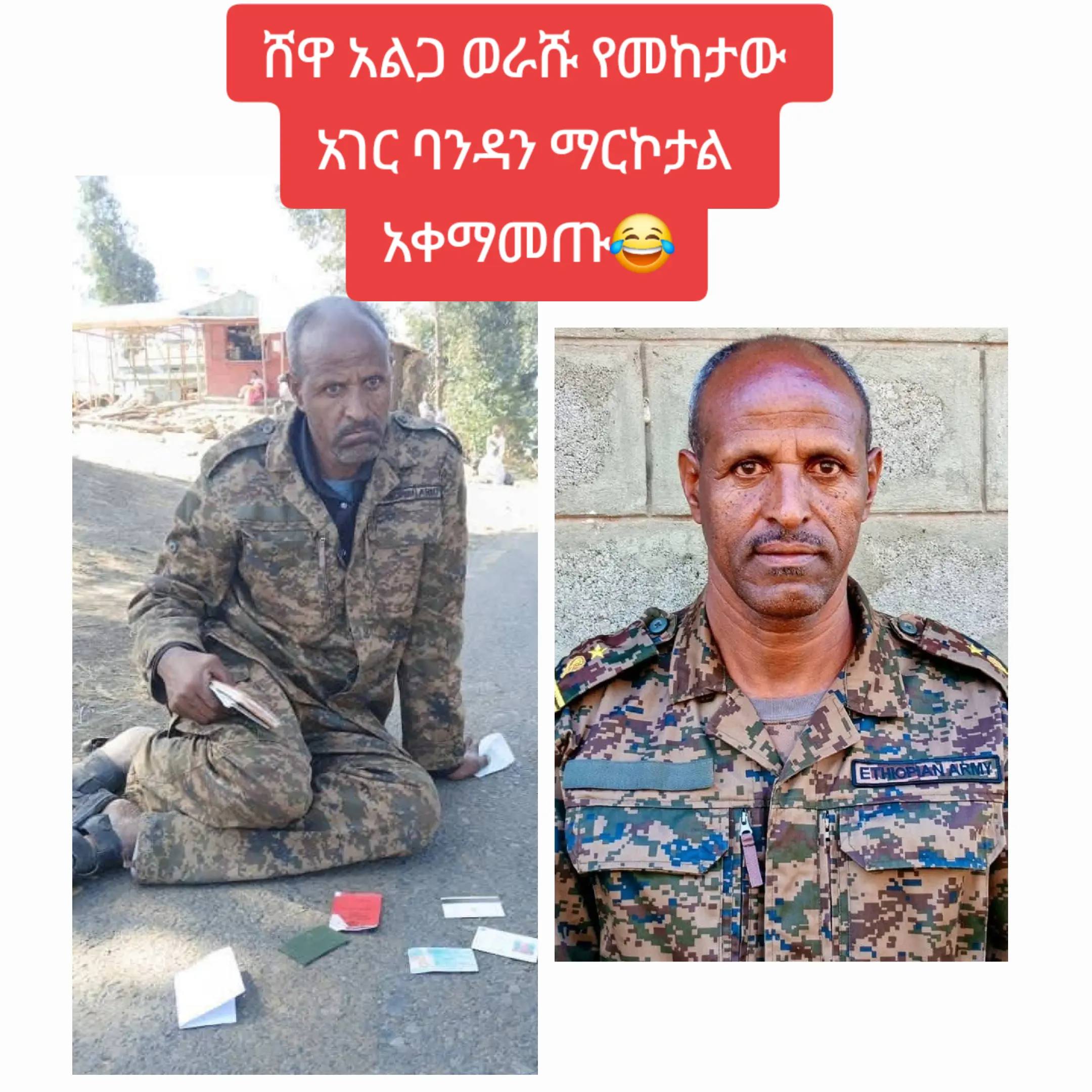 A post by @chombe.factinfo on TikTok caption: ሸዋ💚💪💪💪