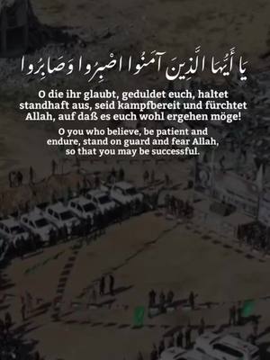 A post by @dd3.abukhaled on TikTok caption: 🚦 القرآن الكريم  {003 سورة آل عمران (200)}  🎙 ياسر الدوسري  عربي ألماني إنكليزي   ٢- 🌺 #القرآن_الكريم  {003 سورة #آل_عمران (200)}  🎙 #ياسر_الدوسري  #عربي #ألماني #إنكليزي  من #دين_ودنيا  يسرنا إنضمامك إلينا  ‏استعمل هذا الرابط للانضمام إلى  قناتنا على اليوتيوب : https://www.youtube.com/@B.H.SAbuKhaled مجموعتي في واتساب: https://chat.whatsapp.com/ICMqHfDfi7d8JLO0HZh48X  مجموعتي في تليجرام : https://t.me/Dien_w_Dunya مجموعة للتصاميم :  https://t.me/Dien_w_Dunya_Tasamim  قناة للخلفيات :  https://t.me/Dien_a_Dunya_Background