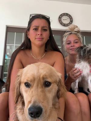 A post by @whitneywren7 on TikTok caption: 🤣🤣🤣🤣