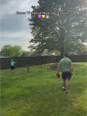 A post by @gravythegolden on TikTok caption: More days like this ✨💛 @Goose The Golden💛 #goldenretriever #goldenretrieversoftiktok #dogsoftiktok #doglove #goldenretrieverlove #goldenretrieverlife #goldenretrieverpuppy #goldenretrieversworld #goldenretrieverpuppies #goldenretrievers 
