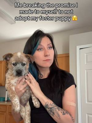 A post by @snerixx on TikTok caption: My baby 🥰