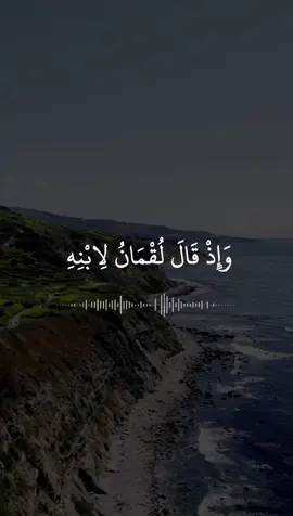 A post by @ansar19.9 on TikTok caption: اذكروا الله #اسلام #تلاوت_قرآن #قران #quran 