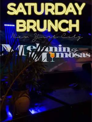 A post by @drinklinknyc on TikTok caption: Melanin & Mimosas Brunch In NYC  @Thisavibe  You can count on@melaninmimosasbrunch to provide a good brunch on a Saturday @melaninmimosasbrunch is a brunch party every Saturday at the spacious venue Palma Verde Palma Verde ° 1604 Broadway, 10019 It's a bottomless brunch with vibes on 100. I went on a r&b brunch day but the djs Definitely turned it up as well. As for the food the salmon and fried rice was actually really good, as well as the lamb chops. And the chicken and waffle portion was huge. A great spot for a big birthday group, or just for your and your friends. Check out @melaninmimosasbrunch for all the details and to make your reservations. #nyc #nycrestaurants #nycbrunch #nycbottomlessbrunch #nycrestaurants #nyceats 