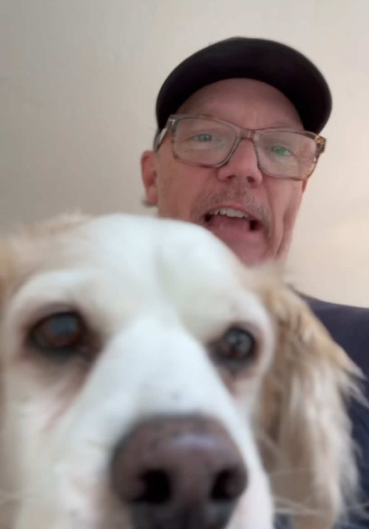 A post by @matthew_lillard_ on TikTok caption: Rocket and I wanna share our new drop with you! Courage is a celebration of Critical Roles 10yr anniversary!  A beautiful bottle for an incredible achievement. So proud to be collaborating with such an amazing team — seriously a dream come true. #criticalrole #critters #ttrpg #matthewlillard @Quest’s End Whiskey @Critical Role 