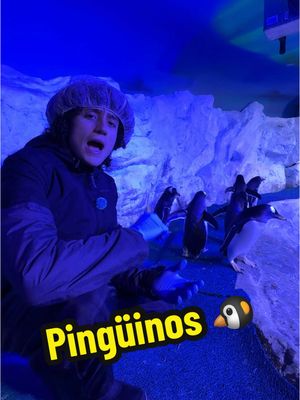 A post by @lagranjadelborrego on TikTok caption: Video completo en YouTube (épico, wow que increíble) @Acuario Inbursa 