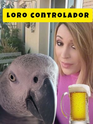 A post by @lora_prodigio on TikTok