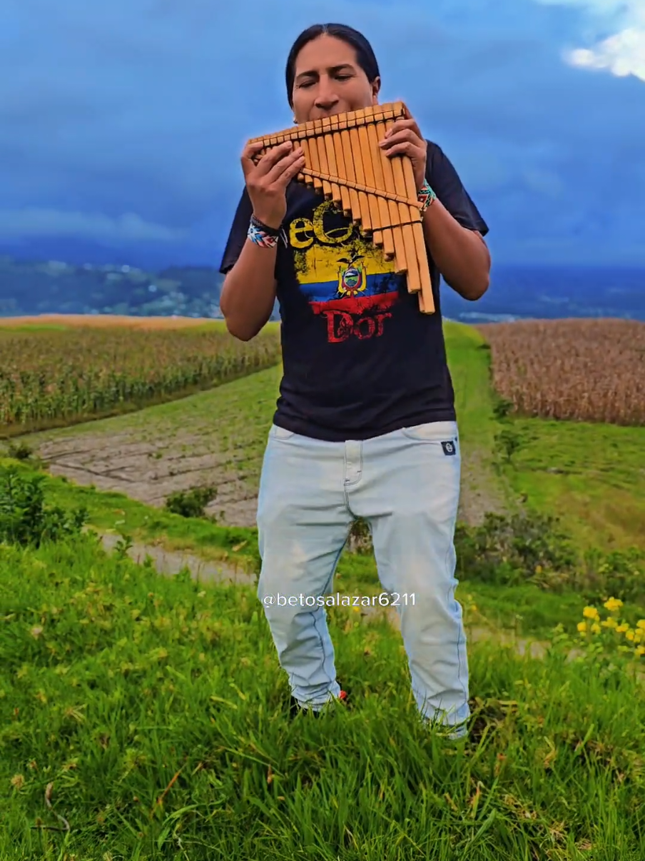 A post by @betosalazar6211 on TikTok caption: voyage voyage #dessireles 
