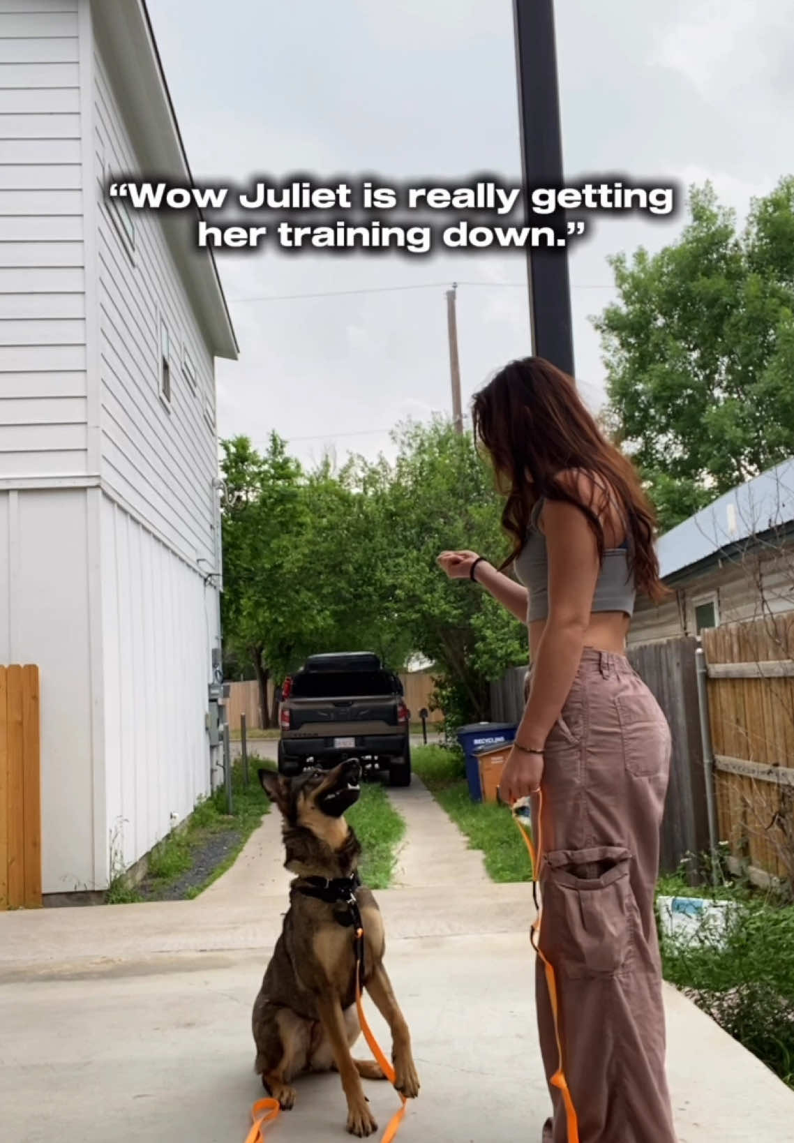 A post by @rachellhague on TikTok caption: She’s still a good girl, making progress every day! #rescuedog #fosterdog 