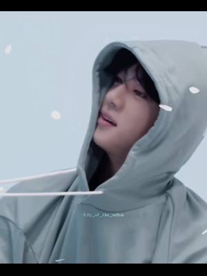 A post by @lily_of_the_m0on on TikTok caption: #jin #jinbts #seokjin #kimseokjin 