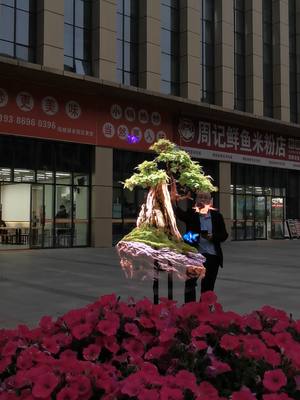 A post by @yihongtechnology on TikTok caption: Witness the Magic of 3D: Holographic Fan's Stunning 3D Projections #3d #ledfan #holographic #hightech #3dledfan #leddisplay #advertising #fyp