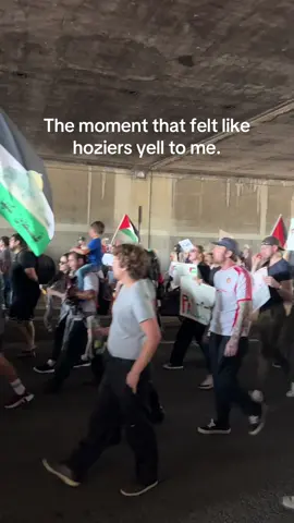 A post by @dominic on TikTok caption: Free Palestine. 