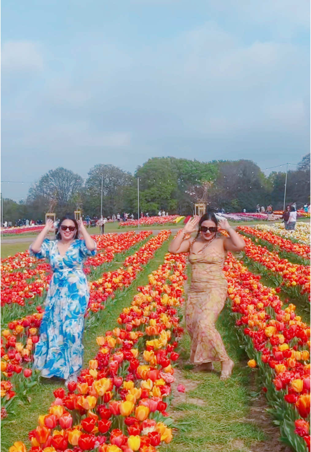 A post by @bmlabb01 on TikTok caption: Ani maya cheu mai basanu @Kanchhi Chhori #narasimha @Raj Katuwal #tulip #festiva #achalekinlondonkochisolesamaula❤️❤️❤️ 
